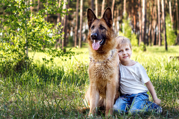 the boy and the dog for a walk in the woods