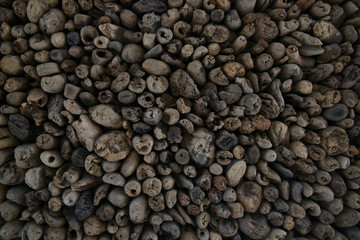 Textured wooden background, high resolution