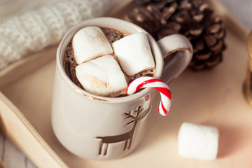 Christmas mood. Cozy Christmas breakfast. Plaid, a tray, a mug of hot cocoa, marshmallows. The book and Christmas card.