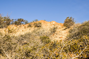 Torrey Pines cliff in pacific ocean in San Diego California