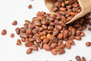 cedar seeds in a bag