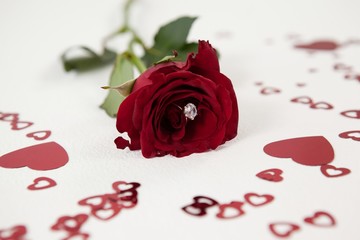 Red rose with a diamond ring
