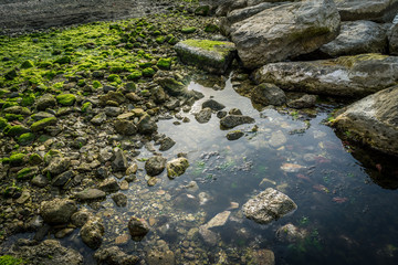 beautiful coast shore stone covered with moss and lichen in sun shine south Italy