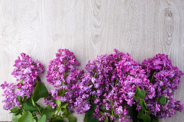 Fototapeta na wymiar Lilac flowers background