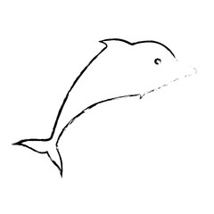 Dolphin marine animal icon vector illustration graphic design