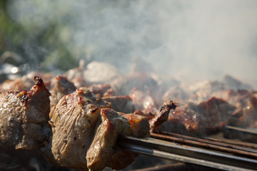 grilled caucasus barbecue in smoke