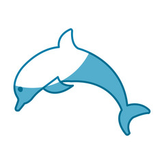 Dolphin marine animal icon vector illustration graphic design
