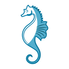 Obraz premium Fish marine animal icon vector illustration graphic design