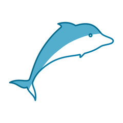 Dolphin marine animal icon vector illustration graphic design