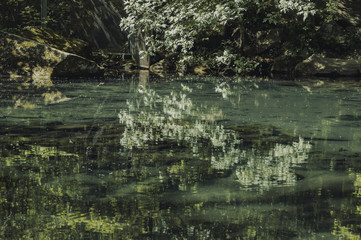 Lake in the forest. Beautiful view