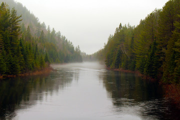Calm river covered with fog in the spring