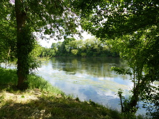 Fototapeta premium Bords de la Dordogne