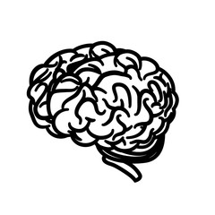 Human brain intelligence icon vector illustration graphic design