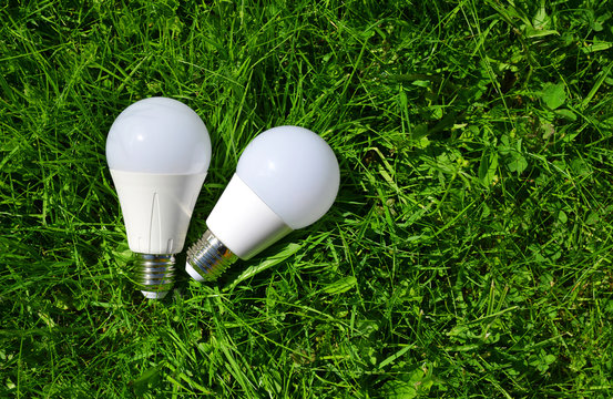  LED bulbs in grass. Energy saving lamp.