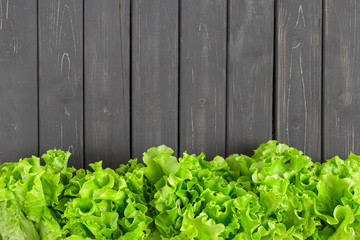 Fresh lettuce leaves border over black wooden plank background