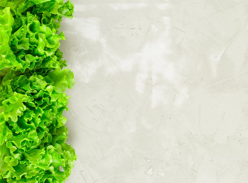 Fresh Lettuce Leaves Border Over Grey Concrete Stone Background