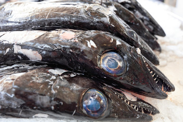 black scabbardfish or Espada from Atlantic Ocean sold in Madeira