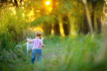 beautiful kid walks in the park near the grazed goats, on a sunset