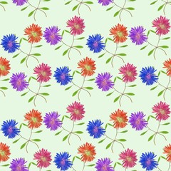 Aster. Seamless pattern texture of flowers. Floral background, p