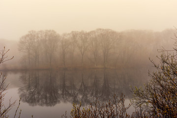 Foggy sring morning Reflections