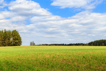 landscape with clouds