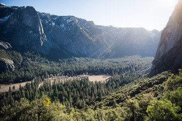 Yosemite Valley with pine forest in foreground sun light lay on the forest - 150183798