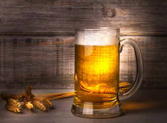 Glass of beer and barley cereal grain. Beer still life