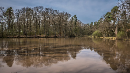 Obraz premium Waldsee