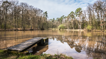 Waldsee