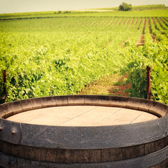 old oak wine barrel in front of wine yard landscape