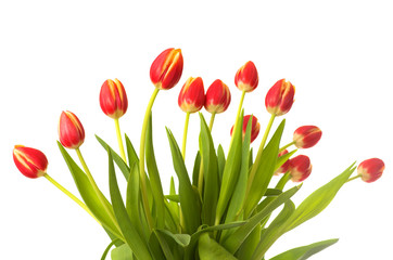 Bouquet of red-yellow tulips.