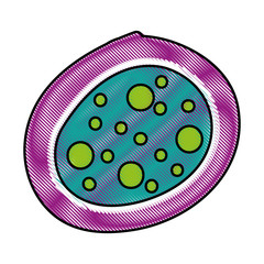 Bacterial cell structure icon vector illustration design