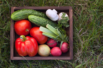 Vegetables in a box for salad on the grass in a summer garden