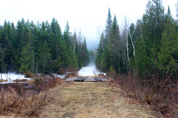 Fototapeta na wymiar Foggy snowy spring footpath
