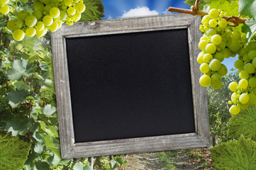Weintrauben, Weinfest, Winzerfest, Trauben, Einladung, Weinverkostung 