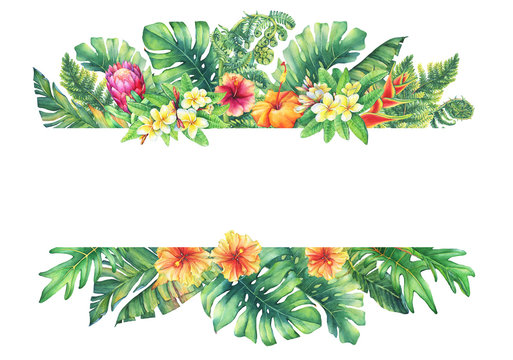 Banner  with branches purple Protea flowers, plumeria, hibiscus and tropical plants. Hand drawn watercolor painting on white background.