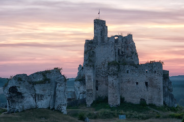 Castle in Ogrodzieniec