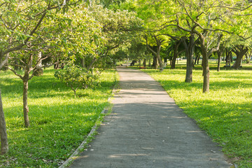 Fototapeta na wymiar Park path with flowers