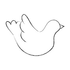 dove drawing isolated icon vector illustration design