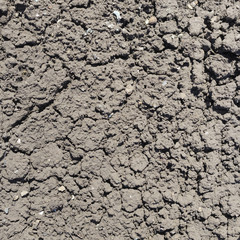 from the texture of the soil