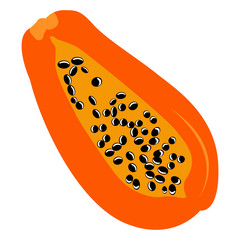 Isolated cut of a papaya, Vector illustration