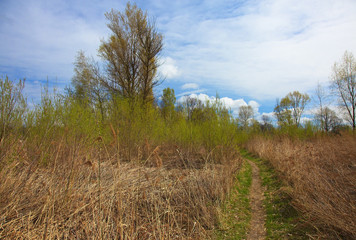 Obraz premium Wild, spring landscape under blue sky with white clouds