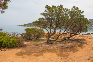 Fototapeta na wymiar Coast of Sardinia - Vacation in Italy - Baja Sardinia
