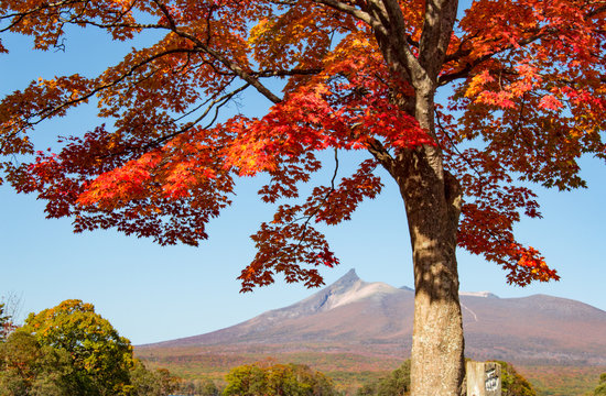 Colorful autumn leaves in idyllic Onuma Quasi National Park, Hokkaido, Japan