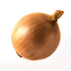 goldish onion on white background