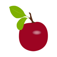 Isolated plum on a white background, Vector illustration