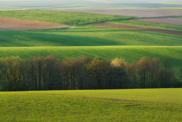 Obraz premium Wiosenny, wiejski krajobraz pól