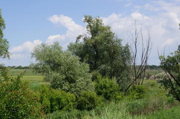 Obraz premium scenery