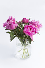 Pink Peonies