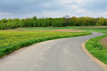 droga asfaltowa przez pola i las
